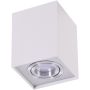 Azzardo ELOY SMART WIFI AZ3778 downlight natynkowy 1x5W/GU10 IP20 2700K-6500K