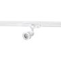 AZzardo JANE TRACK AZ2460 reflektor do szyny 1x50W/GU10 IP20 