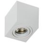 Azzardo MINI ELOY SMART WIFI AZ3861 downlight natynkowy 1x5W/GU10 IP20 2700K-6500K
