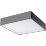 Azzardo MONZA II S 30 SMART WIFI AZ3267 plafon sufitowy 1x36W/LED IP20 4000K