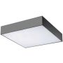 Azzardo MONZA II S 40 SMART WIFI AZ3269 plafon sufitowy 1x48W/LED IP20 3000K