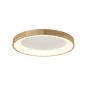 Azzardo SILVAM AZ2698 Plafon sufitowy 1x50W/LED 3000K