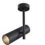 Maytoni Elti C020CL-01B lampa sufitowa 1x50W/GU10 IP20 