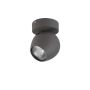 AZzardo PERA FH5781B3-1GR reflektorek ścienno-sufitowy 1x50W/GU10 
