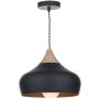 Dar Lighting Gaucho GAU0122 lampa wisząca 1x60W/E27  