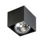 AZzardo ALEX 12V AZ1358 downlight natynkowy 1x50W/QR111 IP20 