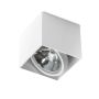 AZzardo ALEX 12V AZ1359 downlight natynkowy 1x50W/QR111 IP20 