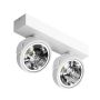 AZzardo JERRY AZ1369 downlight natynkowy 2x50W/QR111 IP20 