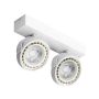 AZzardo JERRY AZ1371 downlight natynkowy 2x50/40W/ES111/GU10 IP20 