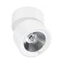 AZzardo SCORPIO LC1295-M WH reflektorek ścienno-sufitowy 1x10W/LED 