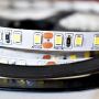 Milagro Taśma LED Pro 5m 120/1mb 48W/500cm Zimna biała 6000K IP20