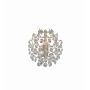 Markslojd ROSENDAL 102334 kinkiet 1x40W/E14 