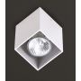 Maxlight PET C0082 downlight natynkowy 1x50W/GU10 IP20