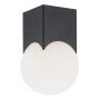 Argon AUSTIN 4713 plafon 1x7W/E14  IP20