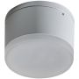AZzardo APULIA AZ4334 downlight natynkowy 1x10W/LED IP54 