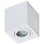 AZzardo BRANT AZ2822 downlight natynkowy 1x50W/GU10 IP44 