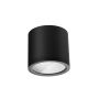 Azzardo CONYON AZ6029 downlight natykowy 1x25W/LED 3000|4000|6000 IP54