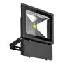AZzardo FLOOD LIGHT AZ1202 naświetlacz 1x80W/LED IP65 5600lm