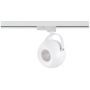 AZzardo GULIA AZ4709 reflektor szynowy 1x50W/GU10