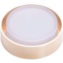 AZzardo KASTORIA AZ4390 downlight wpuszczany 1x7W/LED IP44 