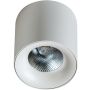 AZzardo MANE AZ4152 downlight natynkowy 1x20W/LED IP20 