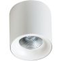 AZzardo MANE AZ4155 downlight natynkowy 1x30W/LED IP20 