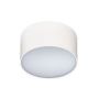 Azzardo MONZA AZ2257 plafon sufitowy LED 1x10W/LED