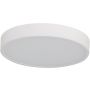 Azzardo PANDINO AZ6587 plafon sufitowy 1x18w/led  2800k/4000k/6000k ip44