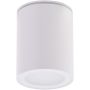 AZzardo PAPIKO AZ4217 downlight natynkowy 1x50W/GU10 IP65 