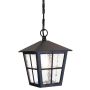 Elstead Lighting CANTERBURY BL48M BLACK lampa wisząca 1x100W/E27 