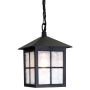 Elstead Lighting WINCHESTER BL18B BLACK lampa wisząca 1x100W/E27 