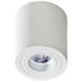 AZzardo BRANT AZ2818 downlight natynkowy 1x50W/GU10 IP20 