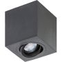 AZzardo BRANT AZ2825 downlight natynkowy 1x50W/GU10 IP20 