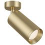 MAYTONI Focus C017CW-01MG lampa sufitowa 1x50W/GU10  