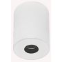 Zambelis CEILING SPOT S113 downlight natynkowy 7W/led 560lm 3000K IP54