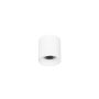 Italux Altisma CLN-6677-75-WH-3K downlight natynkowy 1x10W/LED 3000k IP20 1100lm