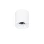 Italux Altisma CLN-6677-95-WH-4K downlight natynkowy 1x15W/LED 4000k IP20 1650lm