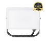 Eko-Light FLOODLIGHT EKN9015 halopak 5000K IP65