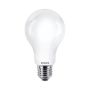 Eko-Light EKZPH579 żarówka 1x17.5W/E27 2700K