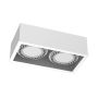 Antigo Cage 1274 downlight natynkowy 2x15W/Gu10 IP20