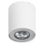 AZzardo NEOS FH31431B_WH-ALU oprawa natynkowa 1x50W/GU10 