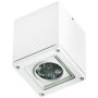 AZzardo TONIO GM4105 plafon sufitowy 1x50W/GU10 