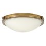 Hinkley Lighting COLLIER HK/COLLIER/F/M plafon sufitowy 3x60W/E27 