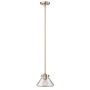 Hinkley Lighting CONGRESS HK/CONGRESP/A BC lampa wisząca 1x100W/E27 