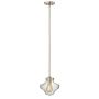 Hinkley Lighting CONGRESS HK/CONGRESP/B BC lampa wisząca 1x100W/E27 