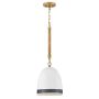 Hinkley Nash HK-NASH-P-HB lampa wisząca 1x60W/E27 IP20