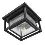 Hinkley Republic HK-REPUBLIC-F-BK lampa sufitowa 2x40W/E27   IP44