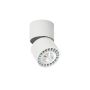 Italux Herios  CLN-97018-12W-L-3K downlight natynkowy 1x12W/LED 3000K IP20
