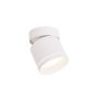 Light Prestige Kendal LP-6331/1SM R1 WH movable downlight natynkowy 1x7W/GX53 IP20