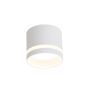 Light Prestige Kendal LP-6331/1SM R1 WH downlight natynkowy 1x7W/GX53 IP20